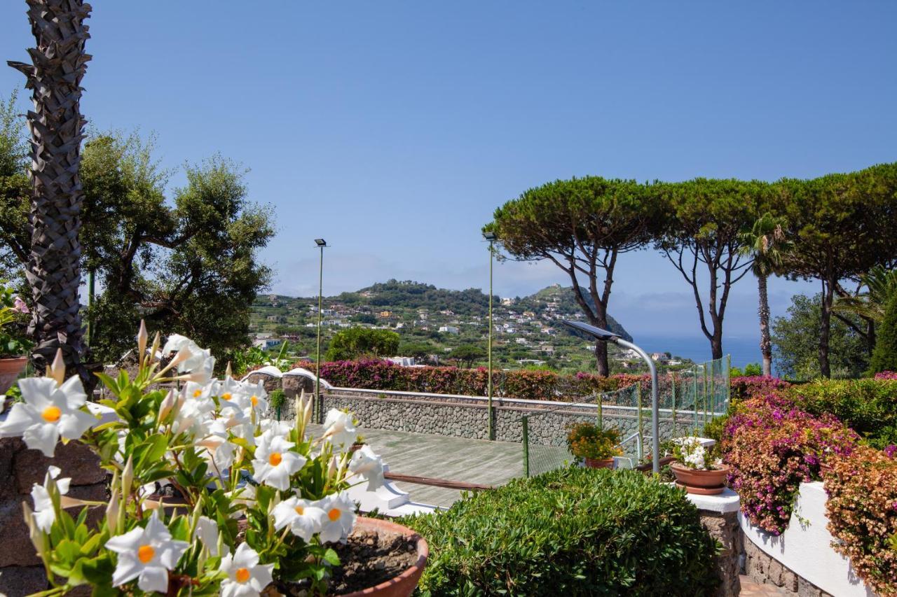 Villetta Con Giardino Esclusivo Di 1000 Mq, Piscina, Tennis, Calcio, Bocce Forio  Luaran gambar