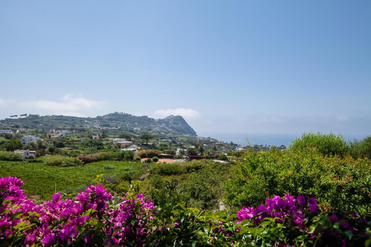 Villetta Con Giardino Esclusivo Di 1000 Mq, Piscina, Tennis, Calcio, Bocce Forio  Luaran gambar