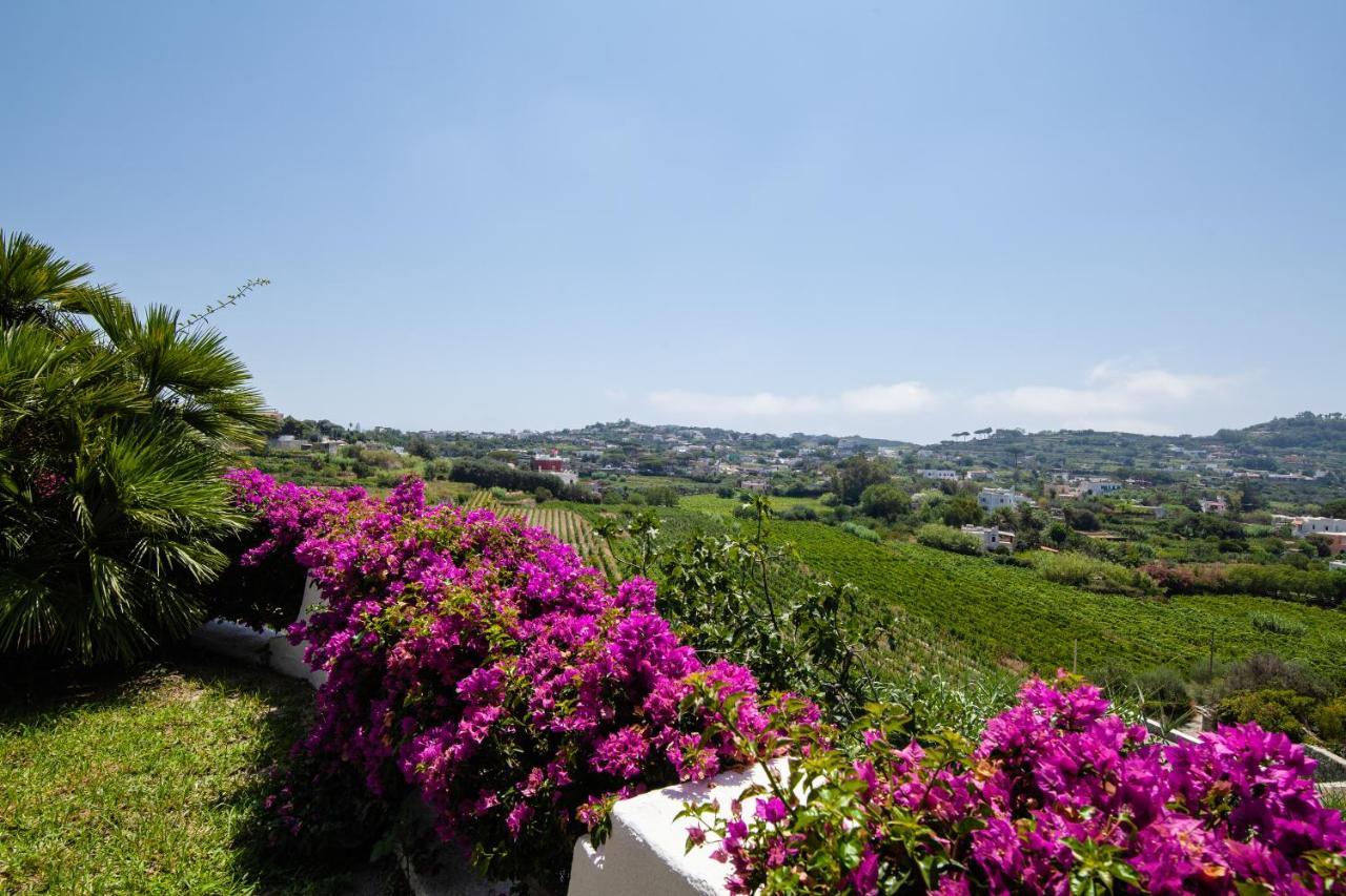 Villetta Con Giardino Esclusivo Di 1000 Mq, Piscina, Tennis, Calcio, Bocce Forio  Luaran gambar