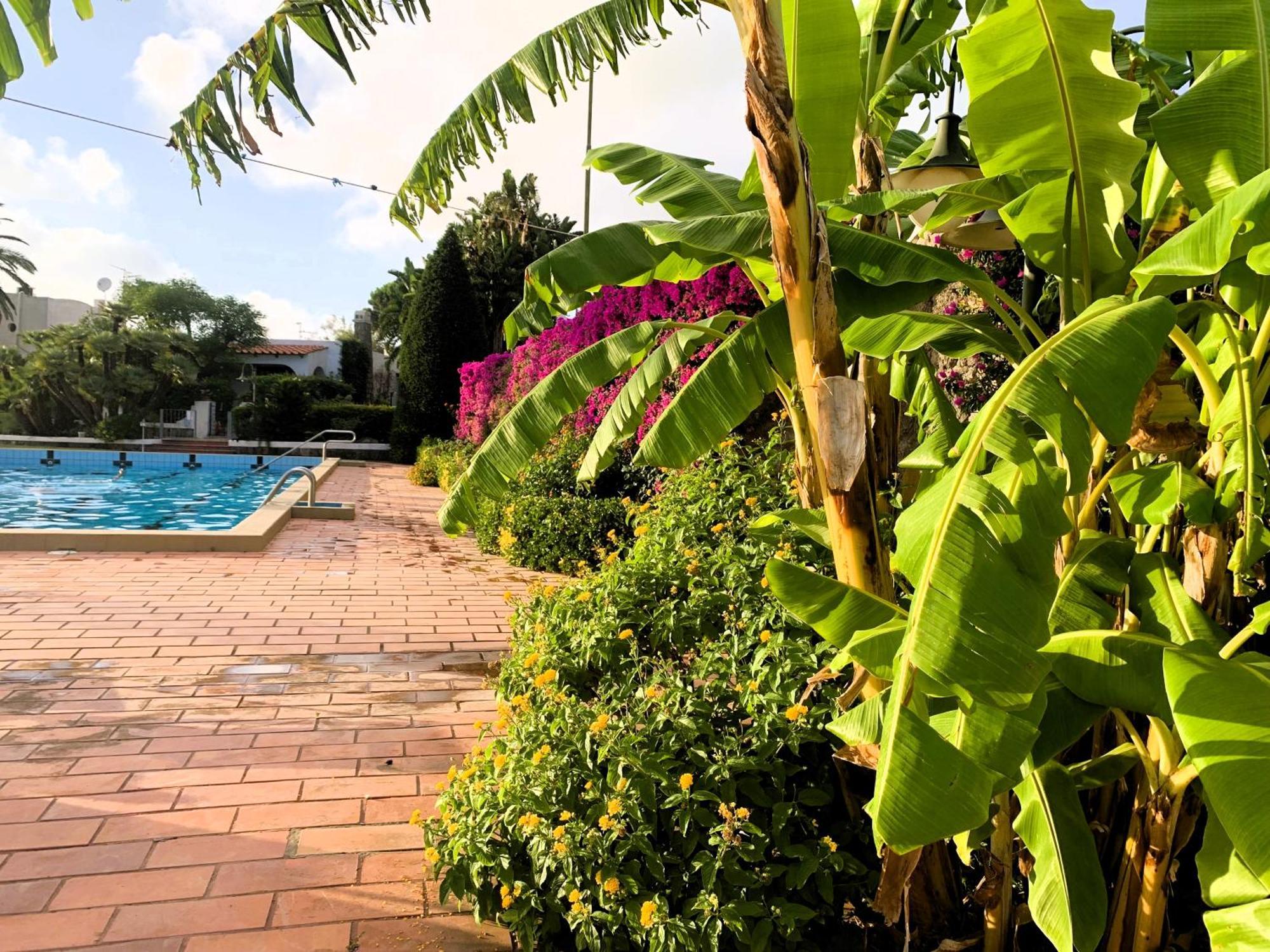 Villetta Con Giardino Esclusivo Di 1000 Mq, Piscina, Tennis, Calcio, Bocce Forio  Luaran gambar