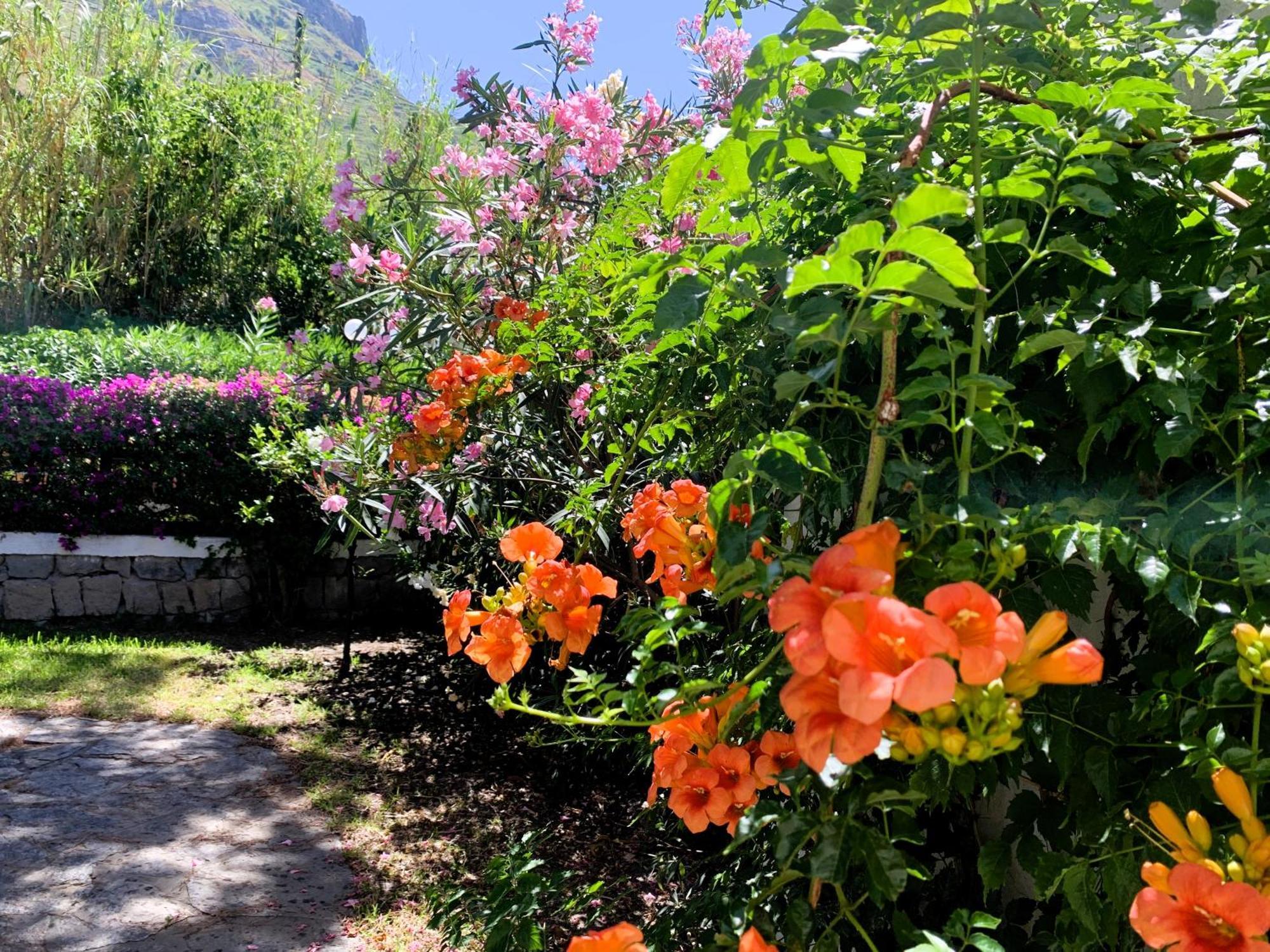 Villetta Con Giardino Esclusivo Di 1000 Mq, Piscina, Tennis, Calcio, Bocce Forio  Luaran gambar