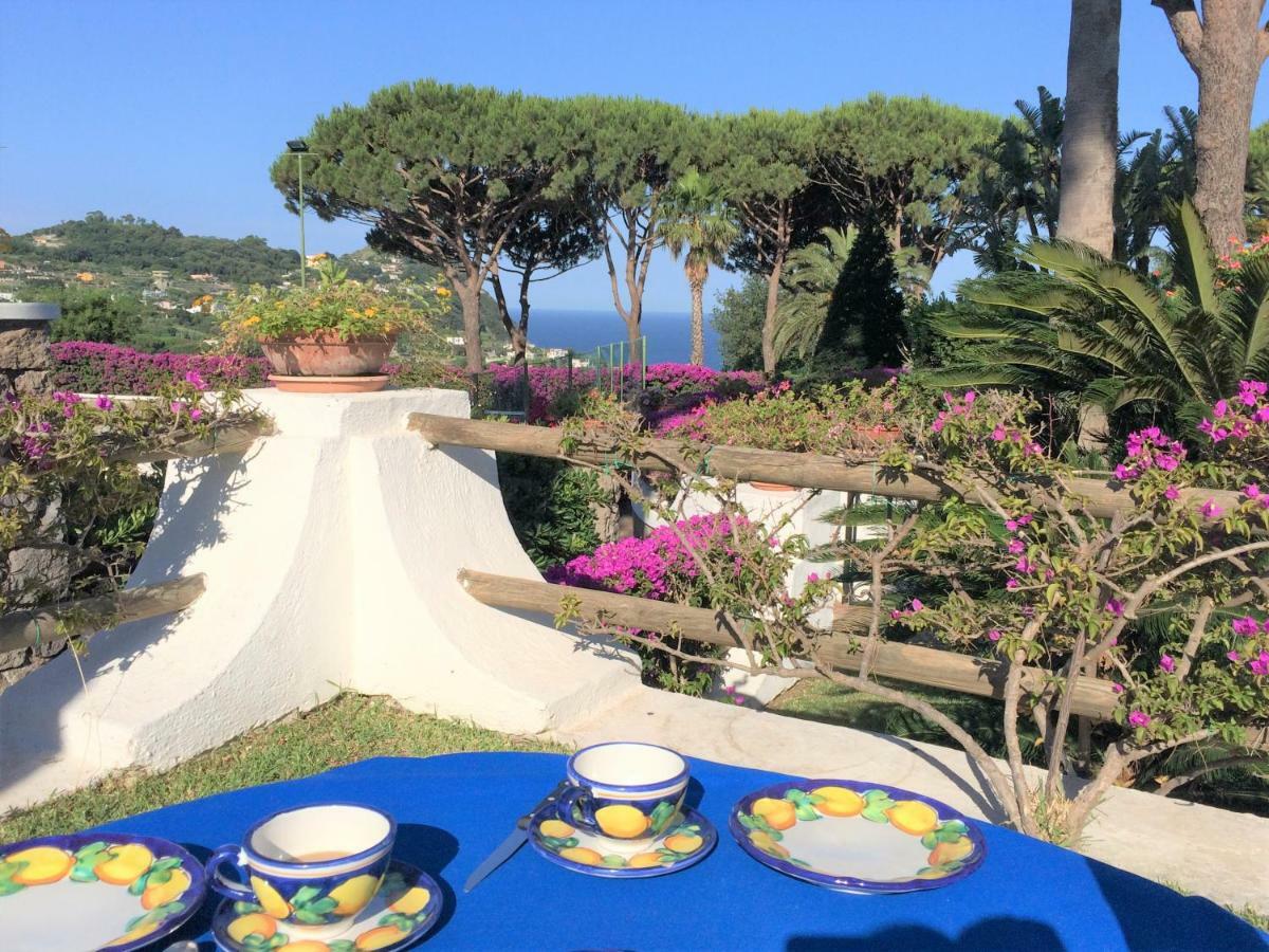 Villetta Con Giardino Esclusivo Di 1000 Mq, Piscina, Tennis, Calcio, Bocce Forio  Luaran gambar